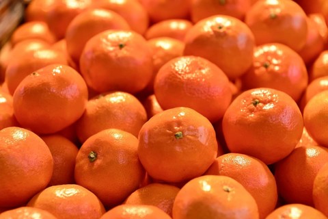 Fruit