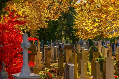 Old cemetery