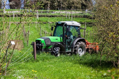 Farmer with his tractor at work among the vineyards on the hillside