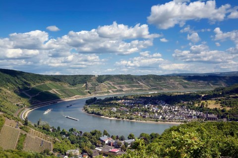 Rhine bend near Boppard with view of Filsen and the Bopparder Hamm wine-growing area