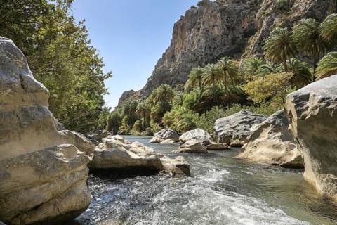 Stream
