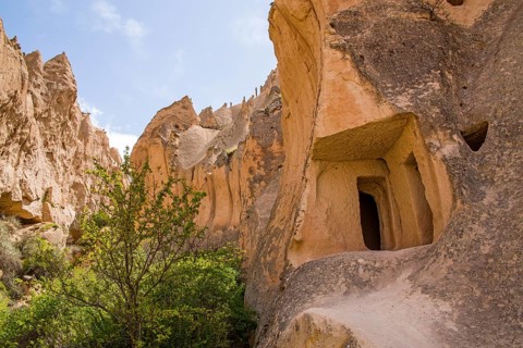 Living caves