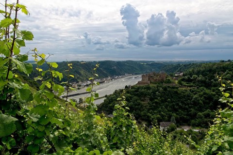 Rheinfels Castle and St. Goarshausen with Katz Castle