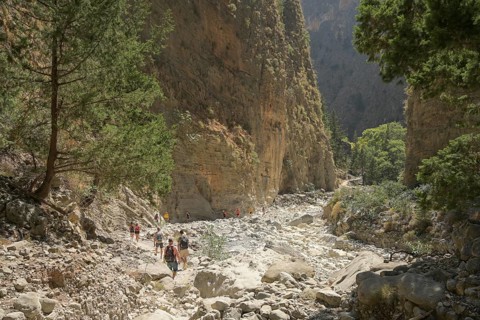 Hiking trail