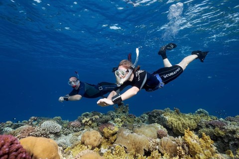 Apnoea diver