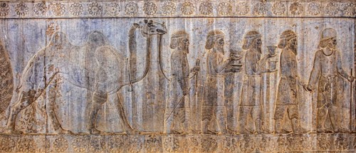 Relief detail of the delegation of nations bringing gifts to Darius on the steps of Apadana Palace