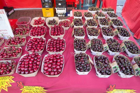 Various types of cherries for sale