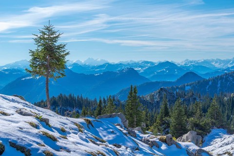 Alpine panorama
