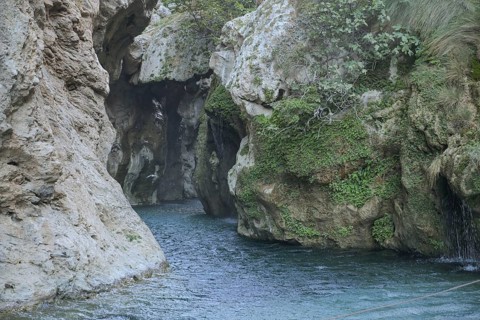 Stream