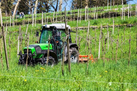 Farmer with his tractor at work among the vineyards on the hillside
