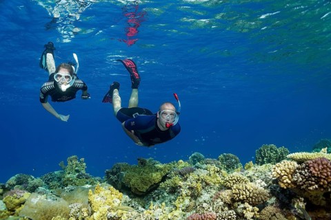 Apnoea Divers