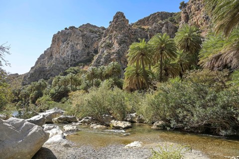 Stream