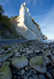 Mons Klint chalk cliff