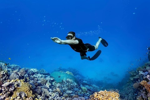 Apnoea diver