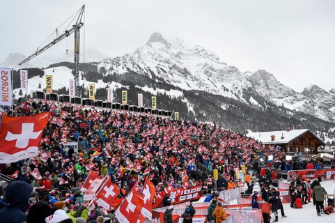 Swiss fans with flags