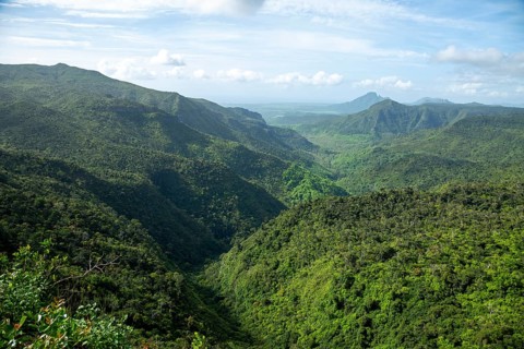 Black River Gorges National Park