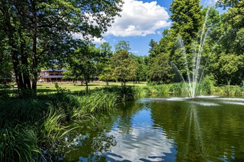 Pond with fountain in the spa park