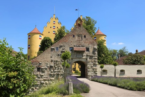 Erbach Castle of the Barons of Ulm-Erbach