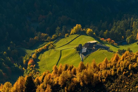 Mountain farm on mountain meadow with larch
