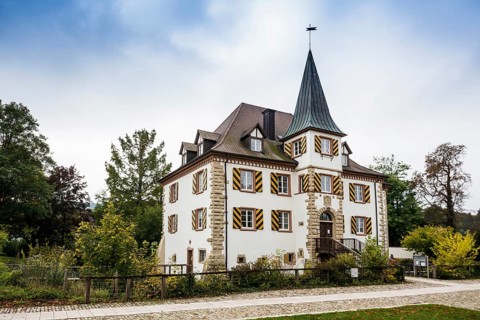 Entenstein moated castle