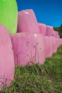 Hay bales in pink or pink plastic foil near Bad Toelz