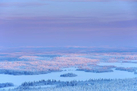 Snow covered Landscape