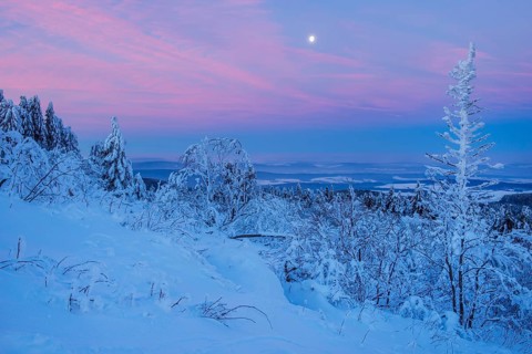 Snow Covered Winter Landscape at Dawn. Grosser Feldberg