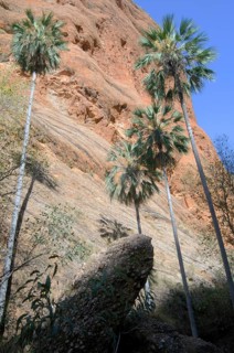 Rock formations in Purnululu National Park