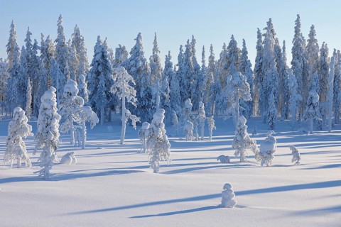 Snow covered landscape in winter