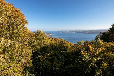 View in sunshine and autumn leaves from Haldenhof