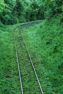 Single-track overgrown railway line