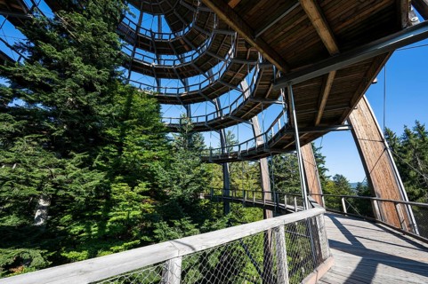 Treetop path