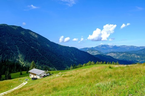 Lerchkogel Alm