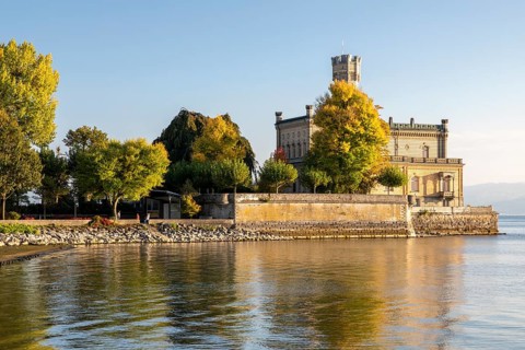 Autumn trees on the shore in the sunshine with Montfort Castle