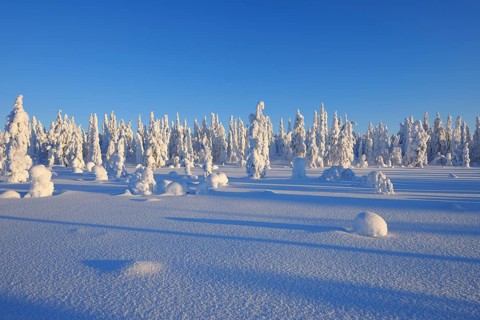 Snow covered winter landscape