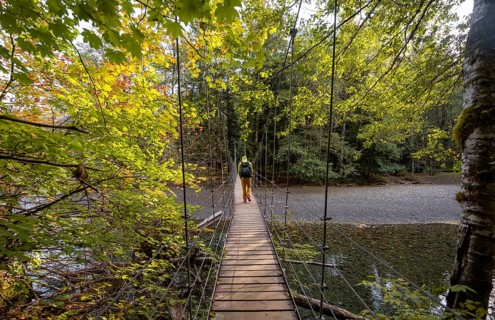 Hikers on suspension bridge in autumnal forest