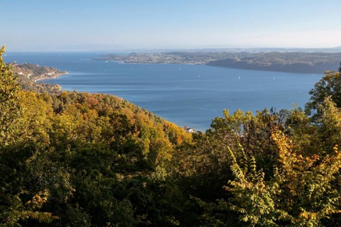 View in sunshine and autumn leaves from Haldenhof