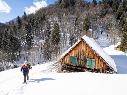 Snowshoe hiker in winter landscape
