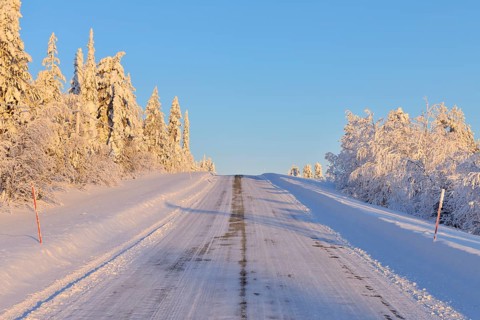 Road in winter