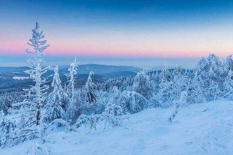Snow Covered Winter Landscape at Dawn. Grosser Feldberg