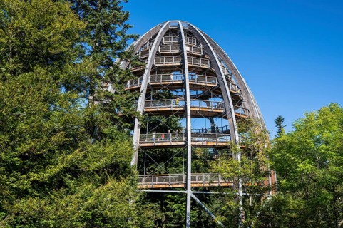 Treetop path