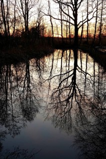 Evening mood at the lake