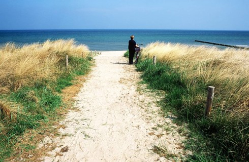 Beach crossing