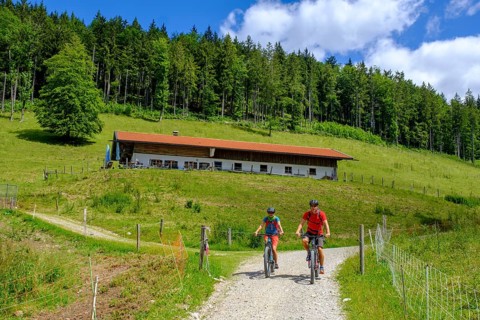 Mountain biker