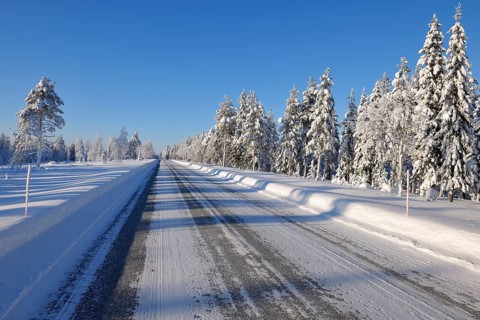 Road in the Winter
