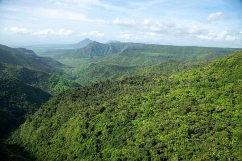 Black River Gorges National Park