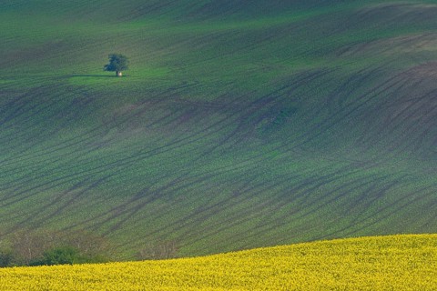 Beautiful and colorful abstract landscape