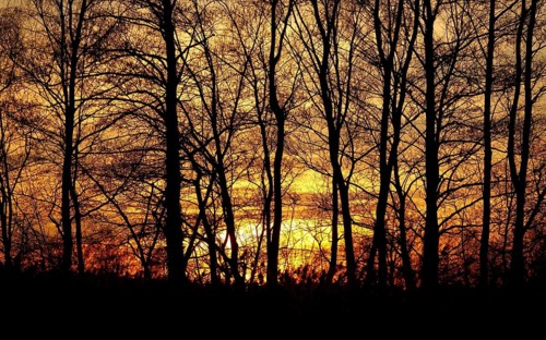 Winter evening