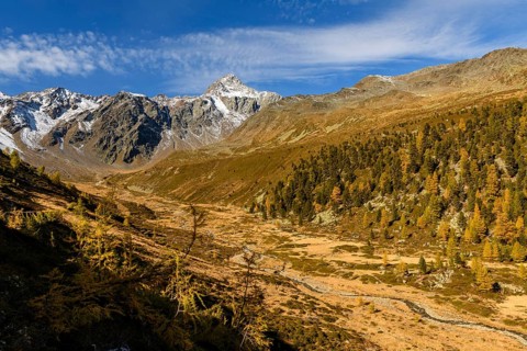 Autumn valley with stream and larches