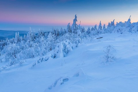 Snow Covered Winter Landscape at Dawn. Grosser Feldberg